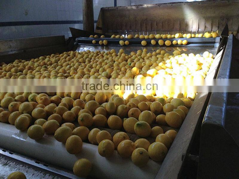 FRESH LEMON ( Adalia - Verna - Green lime )