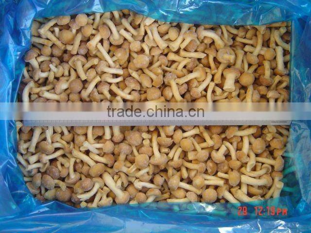 Supply Buy frozen nameko