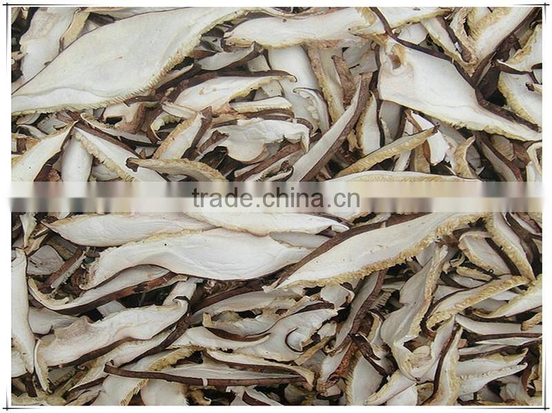 Canned whole button mushroom, mushroom champignon