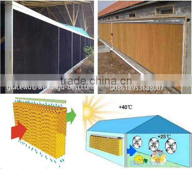 chicken poultry equipment steel frame chicken house for broiler