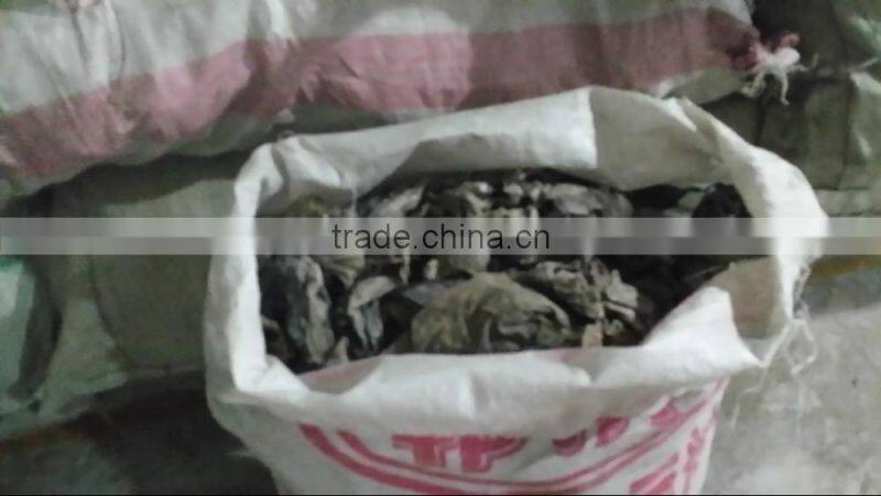 Dried seaweed sheet Kelp/Laminaria abalone,feed grade