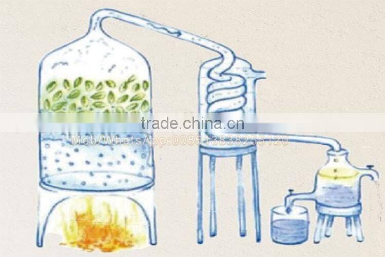 10L essential oil distillation equipment lime essential oil distillation