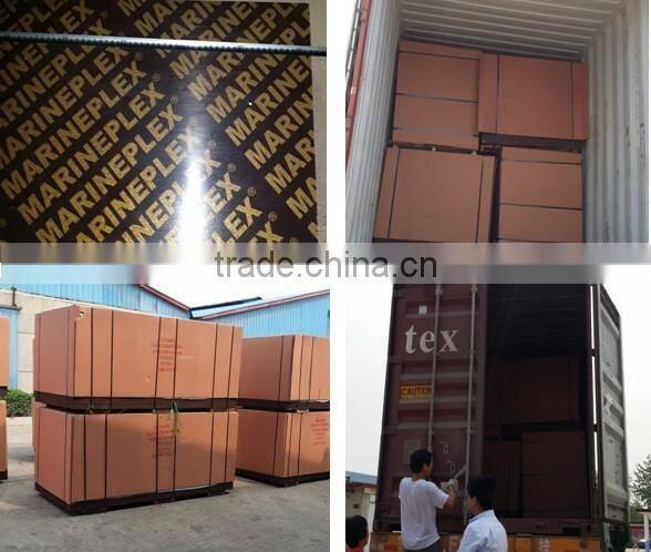 Professional Factory Supply birch core film faced plywood