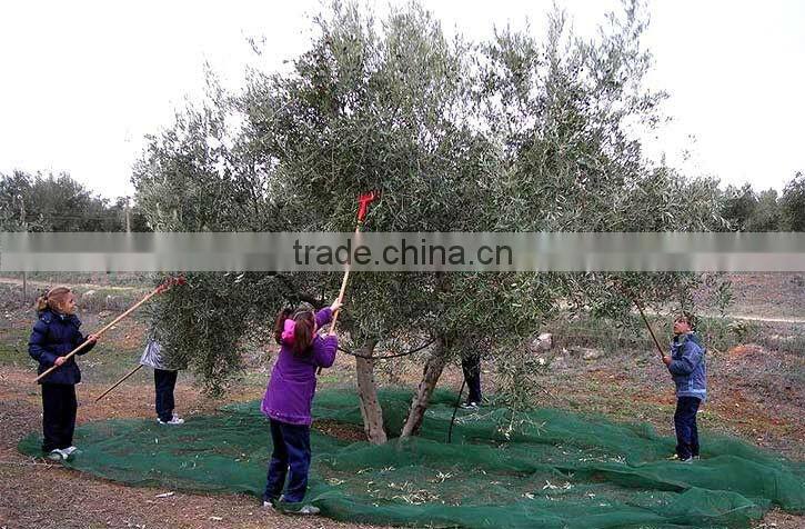 24 sticks head olive harvest machine