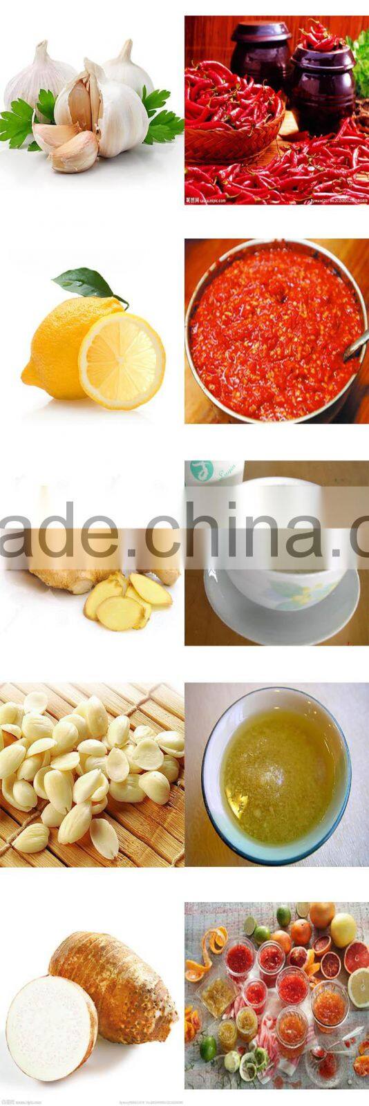 FP-05 shanghai commercial chilli pepper making machine