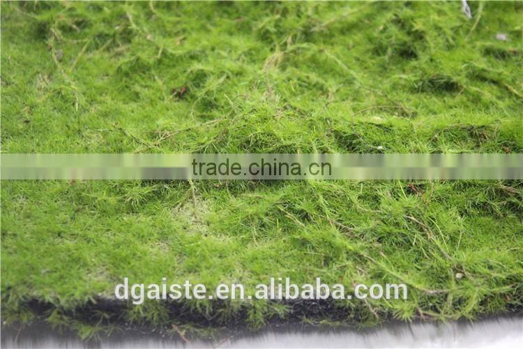 moss wall mat decoration indoor artificial green wall moss carpet