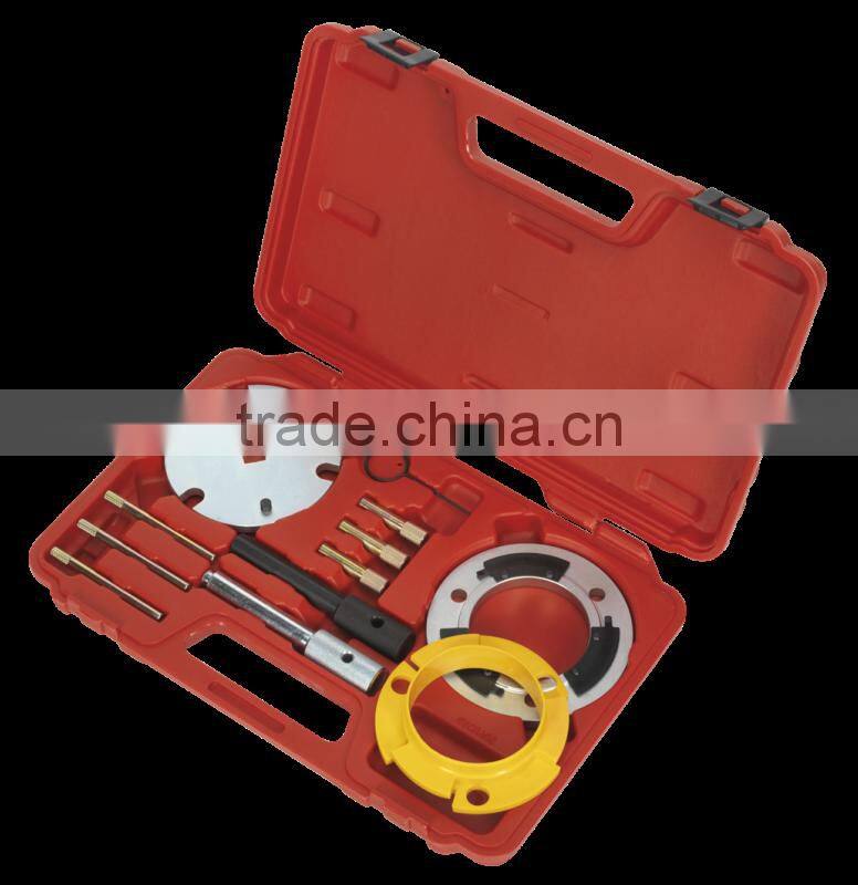 Diesel Engine Setting/Locking & Injection Pump Tool Kit - 2.0D, 2.2D, 2.4D Duratorq - Chain Drive