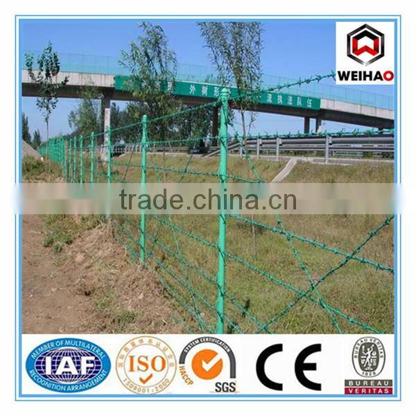 Anping Wei hao provide galvanized barbed wire/PVC barbed wire/barbed wire for sale