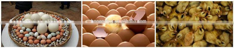 Hot Sale Commercial Eggs Incubator Hatchery Machine
