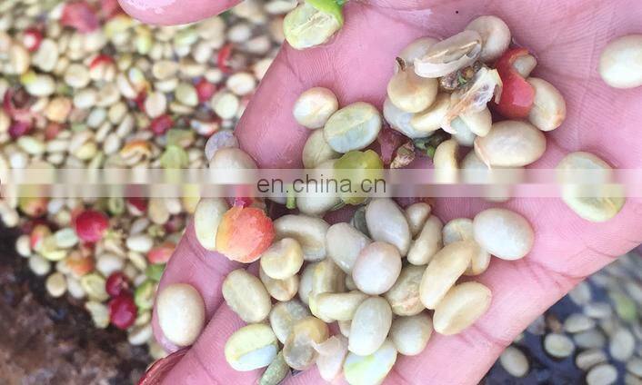 big sale Cocoa Beans Peeling Machine/Cocoa Beans Peeler/Coffee Bean Peeling Machine for sale