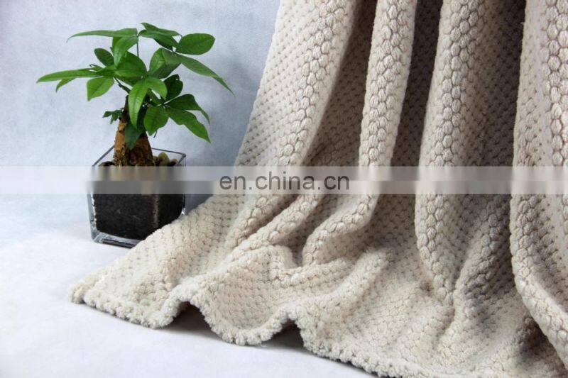 Pineapple and ananas pattern multifunction washable soft no pilling home use 100% polyester coral fleece blanket