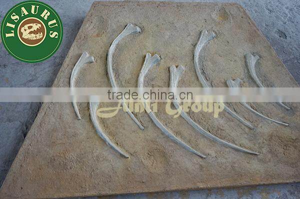 JLDF-0533 Excavation dig it out kit dinosaur fossil