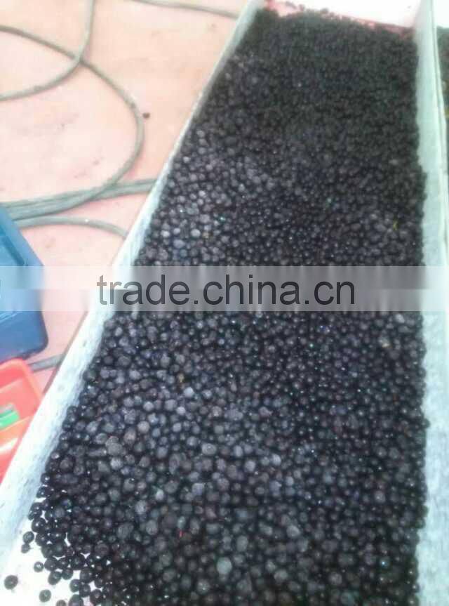 Newest Blueberry color sorter separation machine