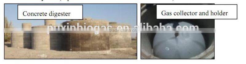 Puxin septic tank biogas power plant system for wastewater treatment