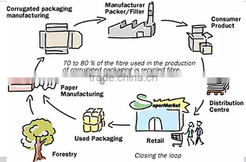 The Best Sale Shipping Fresh Seafood Box