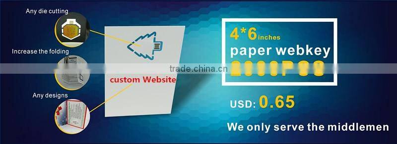 China 1gb USB Flash Drive Black Custom Business Plastic custom usb flash drive