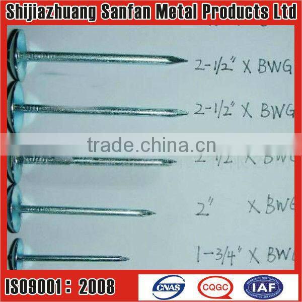 Roofing nail common nail concrete nail