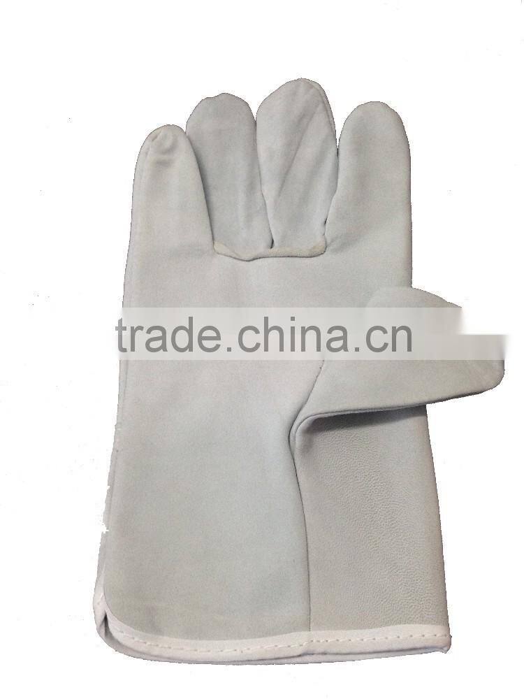 Premium Guante de cuero For Importers /Leather Gloves