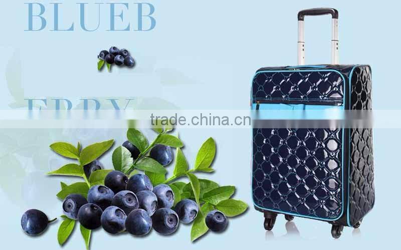 PVC Luggage Light Trolley Case Beautiful Suitcase Luggage