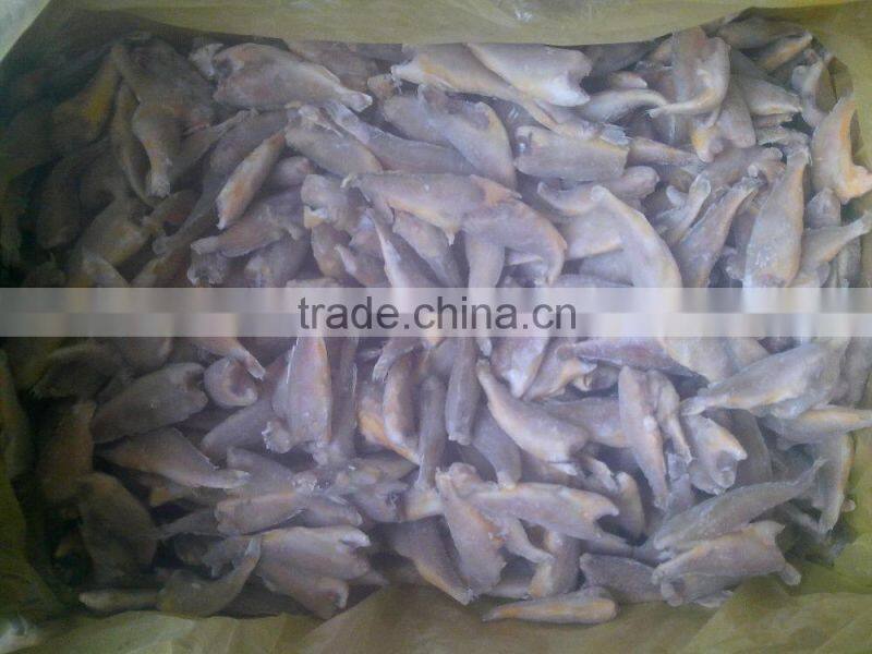 Zhoushan farming headless frozen small croaker