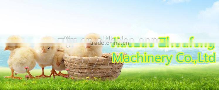 Small little turtle incubator / automatic egg incubator