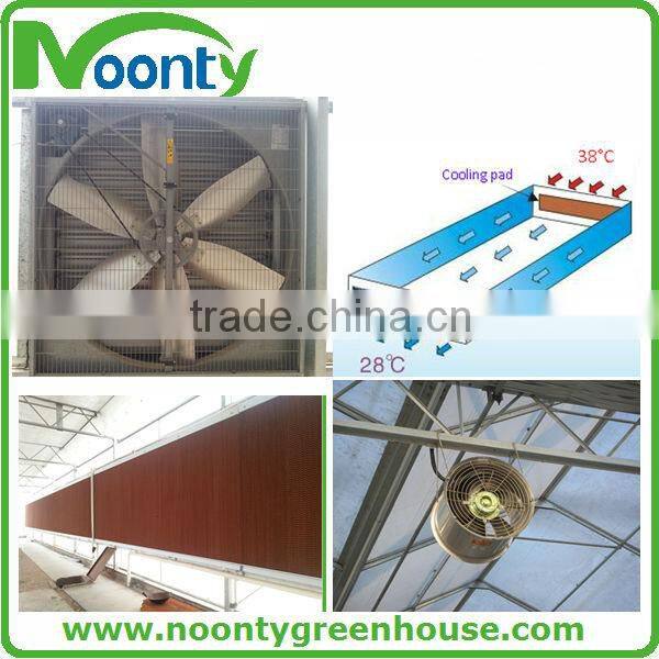 Spanish Style Film Greenhouse