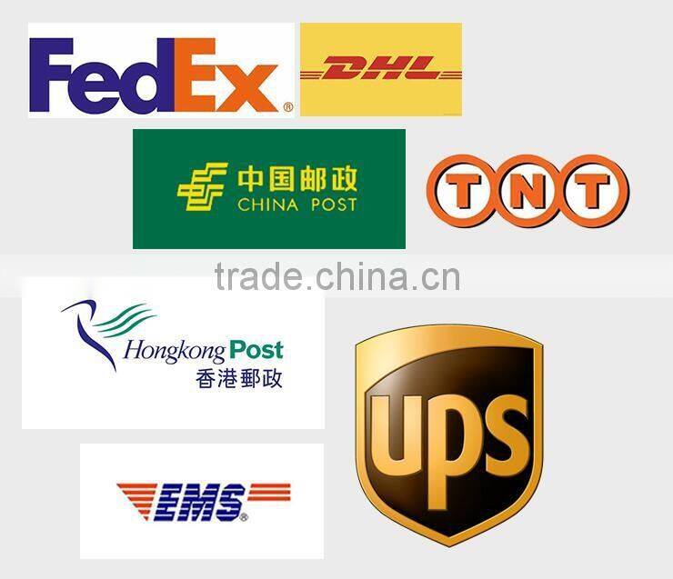 High quality Flexible spinal column with colour coded regions