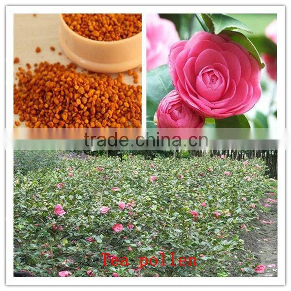 Support OEM China factory direct sales lowest price newest sweet tea pollen