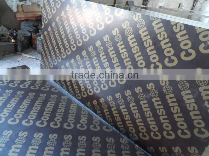 China 20mm waterproof exterior plywood