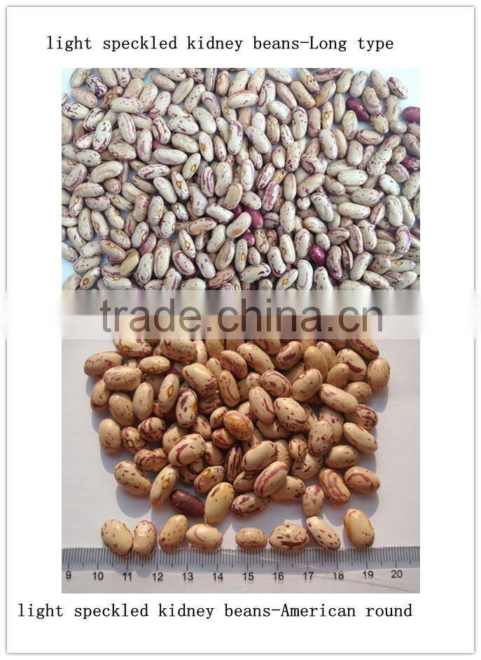 2014 light speckled kidney beans