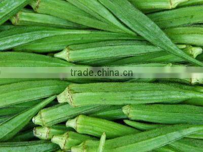 Fresh Okra for sale