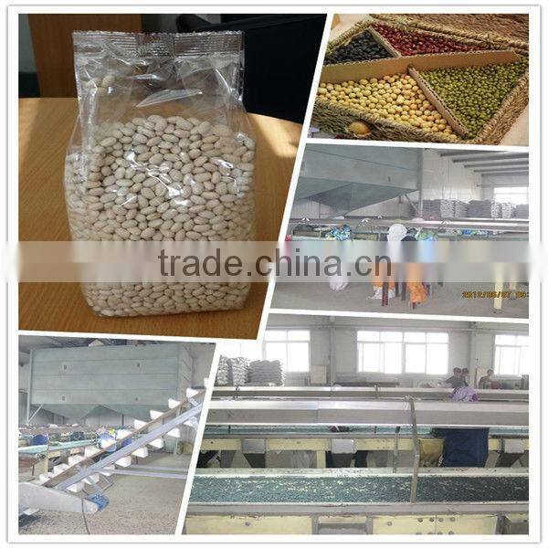 All Kinds Of Beans Cooking White beans 2016 Crop Wholesale