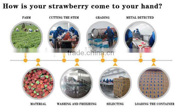 Frozen Strawberry best selling products