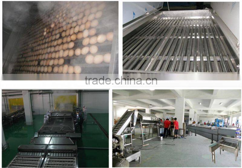 Various Stainless Steel 304 automatic quail egg peeler line