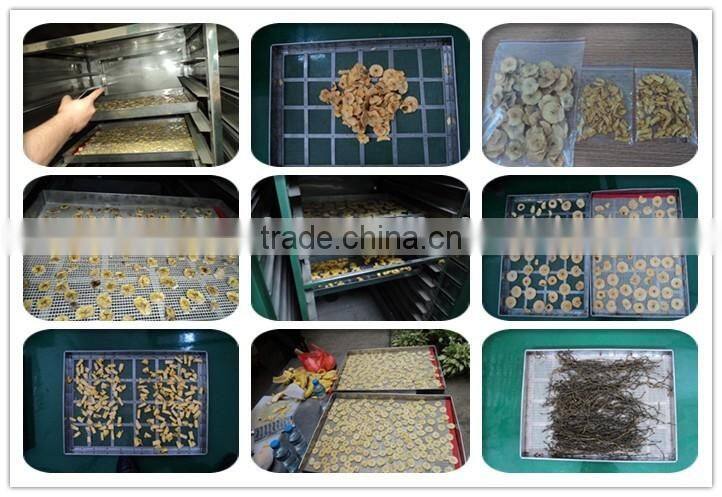 factory price industrial professional beef jerky dehydrator