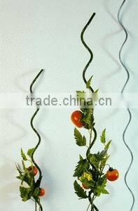 Tomato Spirals Wire(factory and exporter )