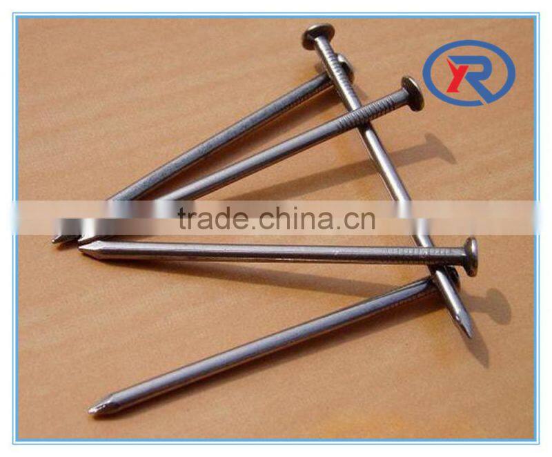 trade assurance common iron Nails and concrete Steel Nails