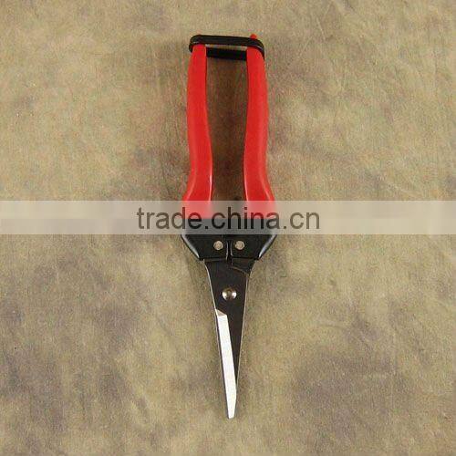 Needle Nose Pruner