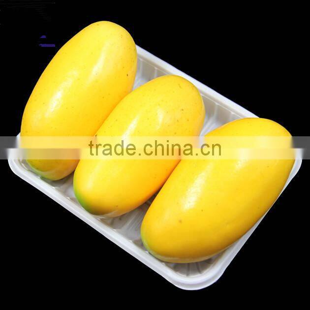 White rectangle disposable plastic food/fruit frozen packing tray