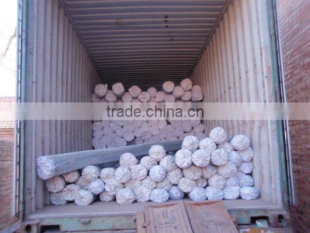 (25X25mm) HOT!! Chain Link Fence for GARDEN