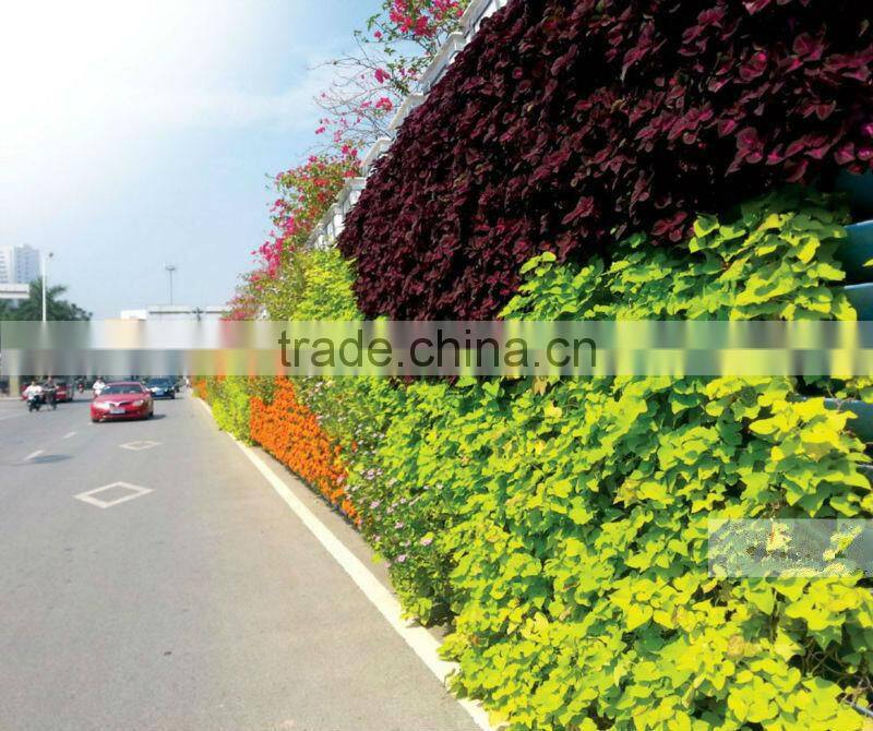 Alibaba China supplier Self watering hydroponic grow systems vertical Green Wall Gardening pots sol y206