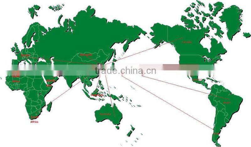 Good Quality Frozen Whole anchovy