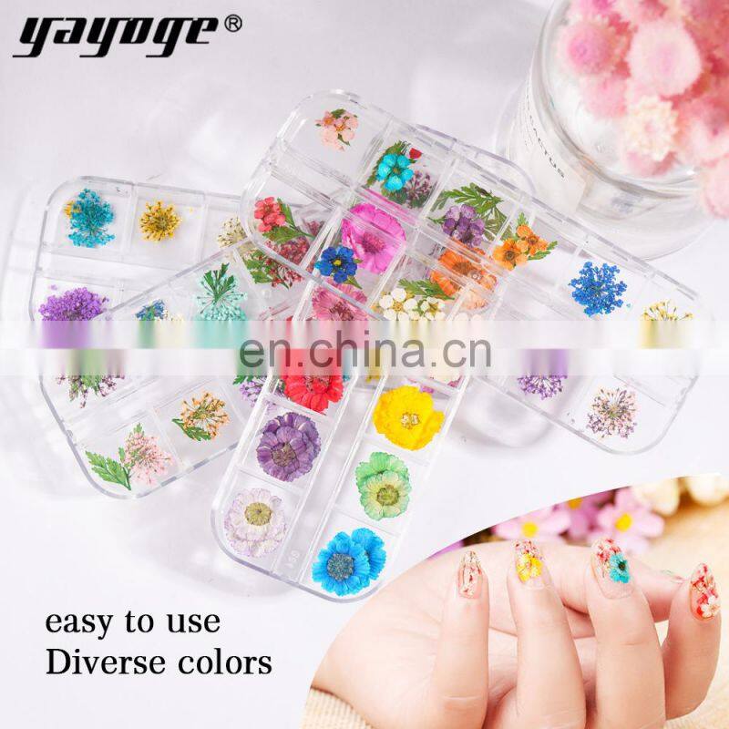 Dry Flower Nail Digit Nail And Smart Flower Printer