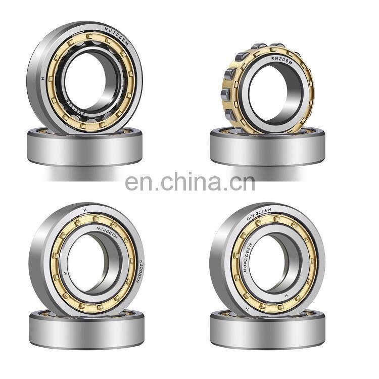 Hot Selling Factory Price Silver NU216 Double Row Cylindrical Roller Bearing Carbon RN309