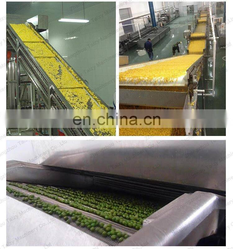 High Quality Vegetable Fruit Processing Line Frozen Vegetable Green Peas Sweet Corn Production Line