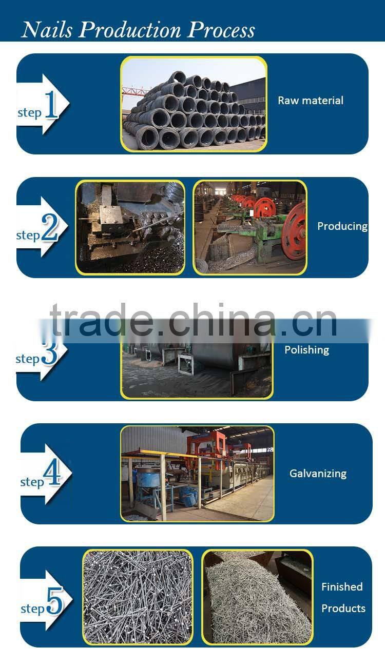 round head iron nails wire nails common nails