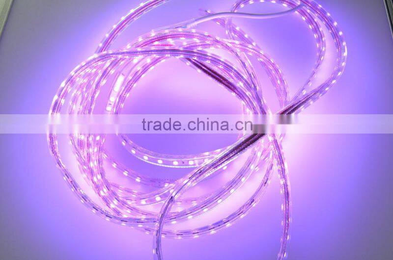 220V 60leds SMD5050 LED strip light