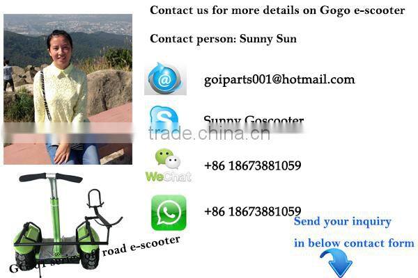 Factory outlet 2 wheel stand up electric chariot x2