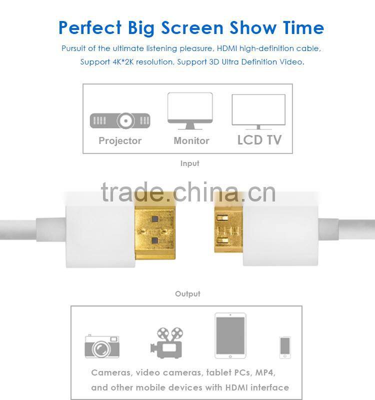 Slim Mini Hdmi Cable type C for Camera/portable DVD/MP3, AM to CM