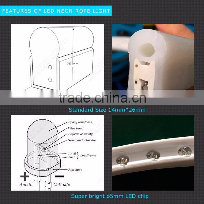 CE & RoHS Approved! Blue LED Waterproof 12V Neon Rope Light